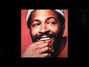 Lyrics of Your unchanging love Marvin Gaye