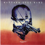 Il testo della Raygun Matthew Good Band