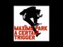 Il testo della Signal and sign Maximo Park