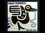 Il testo della She's hot Meat Puppets