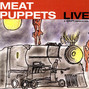 Il testo della Up on the sun Meat Puppets