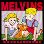Il testo della Hooch Melvins