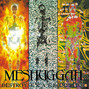 Il testo della Sublevels Meshuggah