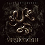 Il testo della The paradoxical spiral Meshuggah