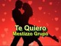 Il testo della Te quiero Mestizzo