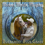 Il testo della Boy from the country Michael Martin Murphey
