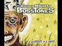 Il testo della Chocolate pudding Mighty Mighty Bosstones