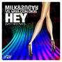Il testo della Hey (nah neh nah) Milk & Sugar