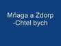 Il testo della Chtel bych Mnaga A Zdorp
