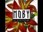 Il testo della Have you seen my baby? [baby mix] Moby