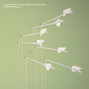 Il testo della The world at large Modest Mouse
