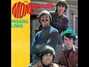 Il testo della Lady's baby Monkees