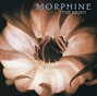 Il testo della Rope on fire Morphine