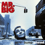 Il testo della Temperamental Mr. Big