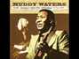 Il testo della My eyes (keep me in trouble) Muddy Waters