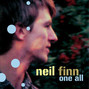 Il testo della Hole in the ice Neil Finn