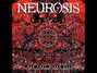 Il testo della Falling unknown Neurosis