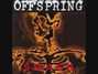 Il testo della Something to believe in Offspring