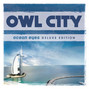 Il testo della Butterfly wings Owl City
