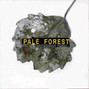 Il testo della Once again Pale Forest