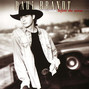 Il testo della Calm before the storm Paul Brandt