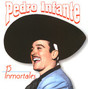 Il testo della La cama de piedra Pedro Infante