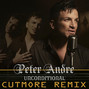 Il testo della Unconditional Peter Andre