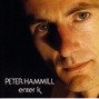 Il testo della She wraps it up Peter Hammill