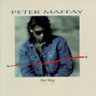 Il testo della Karneval der nacht Peter Maffay