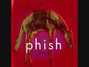 Il testo della Demand Phish