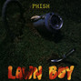 Il testo della Lawn boy Phish