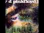 Il testo della A saucerful of secrets Pink Floyd