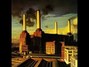 Il testo della Pigs (three different ones) Pink Floyd