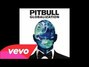 Lyrics of Fun Pitbull