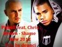 Lyrics of Shame Pitbull