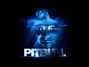 Il testo della Took my love Pitbull
