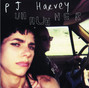 Lyrics of Cat on the wall Pj Harvey