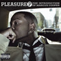 Lyrics of Gotta have you Pleasure P