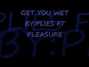 Il testo della Get you wet Plies
