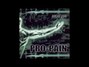 Il testo della I remain Pro-pain