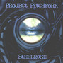 Il testo della Steelrose Project Pitchfork
