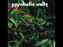 Il testo della Mindsong Psychotic Waltz