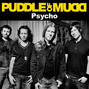 Il testo della Psycho Puddle Of Mudd