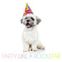 Lyrics of Party like a rockstar Quick Quick Danger