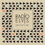 Paroles de La traversée Radio Elvis