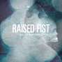 Paroles de Words and phrases Raised Fist