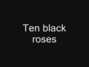 Paroles de Ten black roses Rasmus