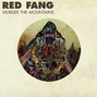 Il testo della Into the eye Red Fang