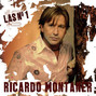 Il testo della Si tuviera que elegir Ricardo Montaner