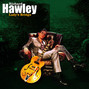 Il testo della Lady's bridge Richard Hawley